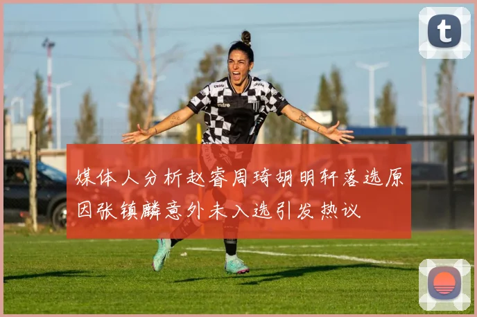 媒体人分析赵睿周琦胡明轩落选原因张镇麟意外未入选引发热议